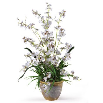 Dancing Lady Silk Orchid Arrangement - SKU #1005