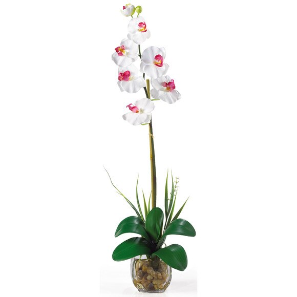 Single Phalaenopsis Liquid Illusion Silk Flower Arrangement - SKU #1104-DP - 2