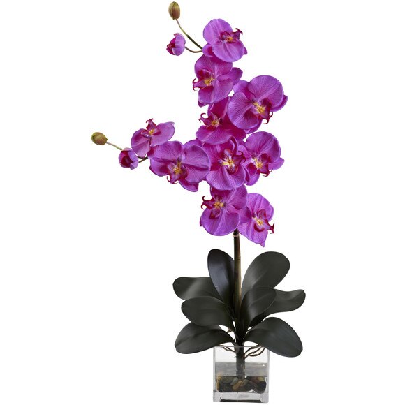 Double Giant Phalaenopsis w/Vase - SKU #1352