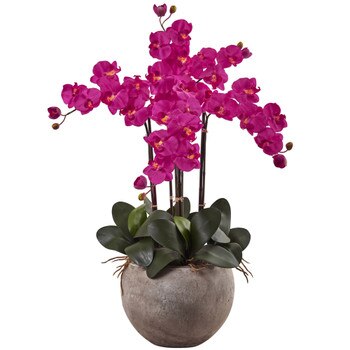 Phalaenopsis Orchid Arrangement with Sand Colored Bowl - SKU #1402
