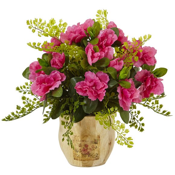 Azalea and Maiden Hair with Planter - SKU #1450