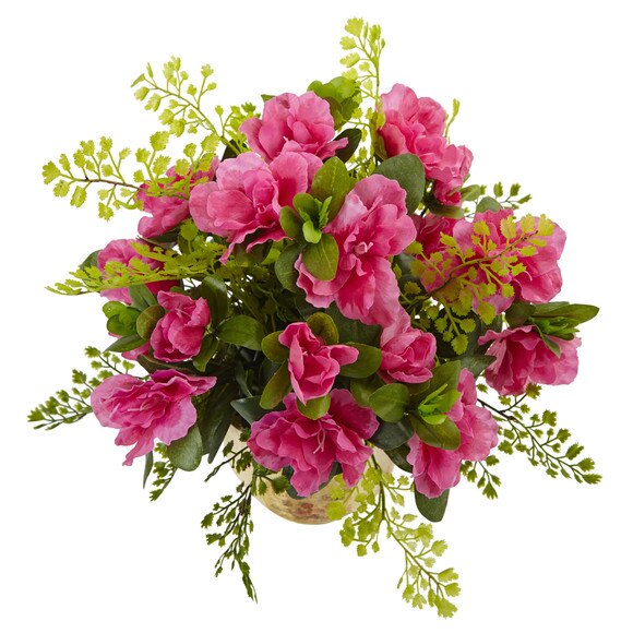 Azalea and Maiden Hair with Planter - SKU #1450 - 1