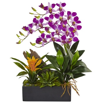 Dendrobium and Bromeliad Arrangement - SKU #1470