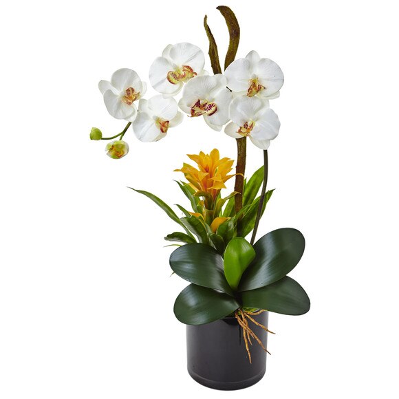 Orchid and Bromeliad in Glossy Black Cylinder - SKU #1478 - 8