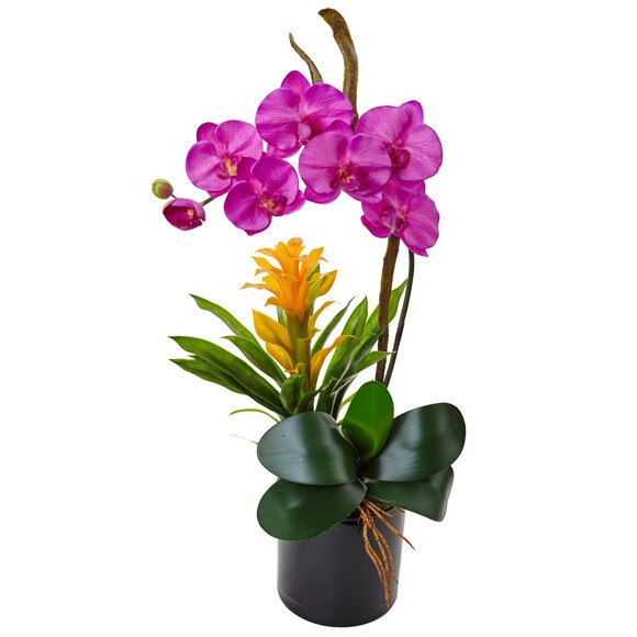 Orchid and Bromeliad in Glossy Black Cylinder - SKU #1478