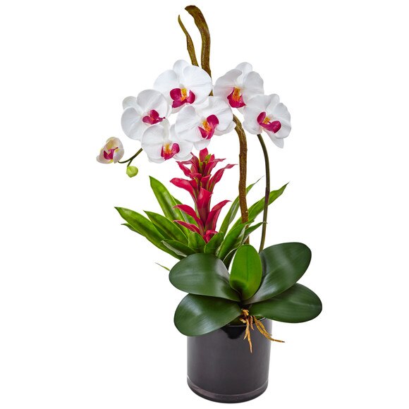 Orchid and Bromeliad in Glossy Black Cylinder - SKU #1478 - 2