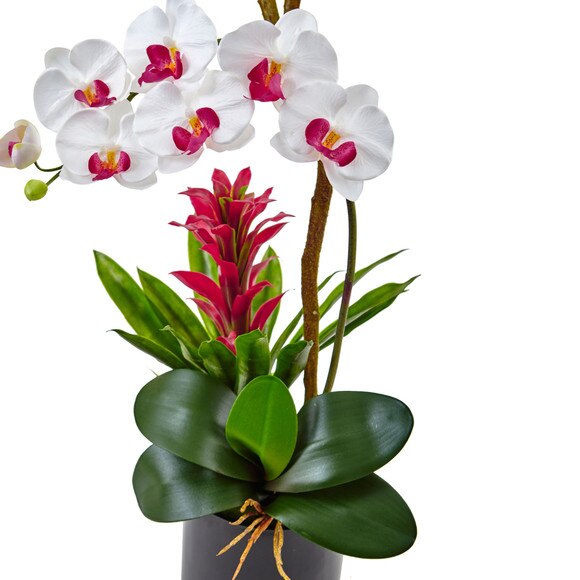 Orchid and Bromeliad in Glossy Black Cylinder - SKU #1478 - 3