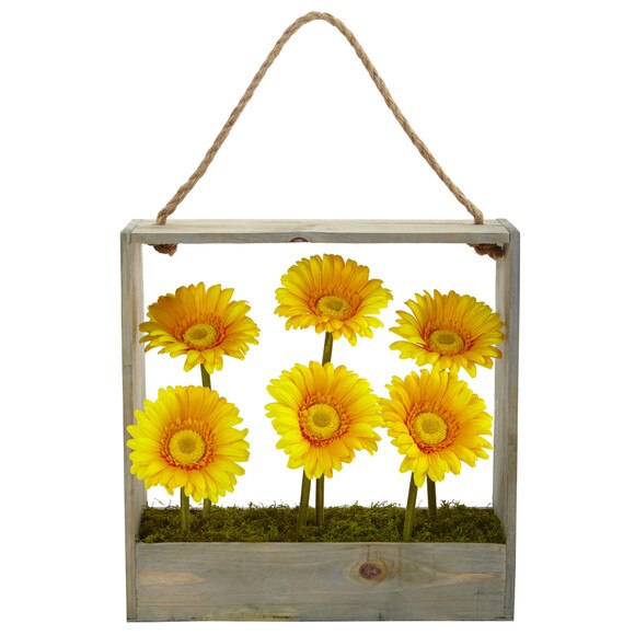 Gerber Daisy Garden in Hanging Frame - SKU #1482 - 4