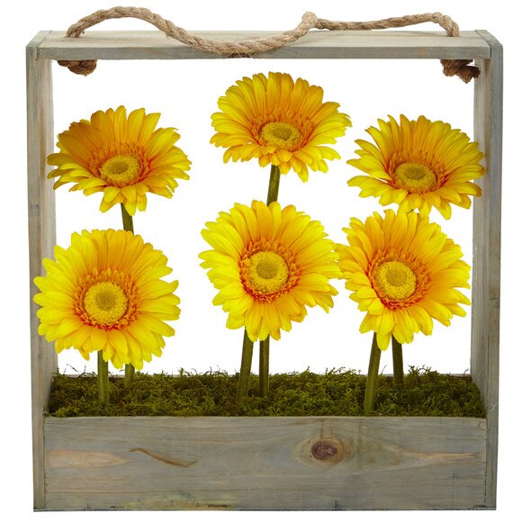 Gerber Daisy Garden in Hanging Frame - SKU #1482 - 5