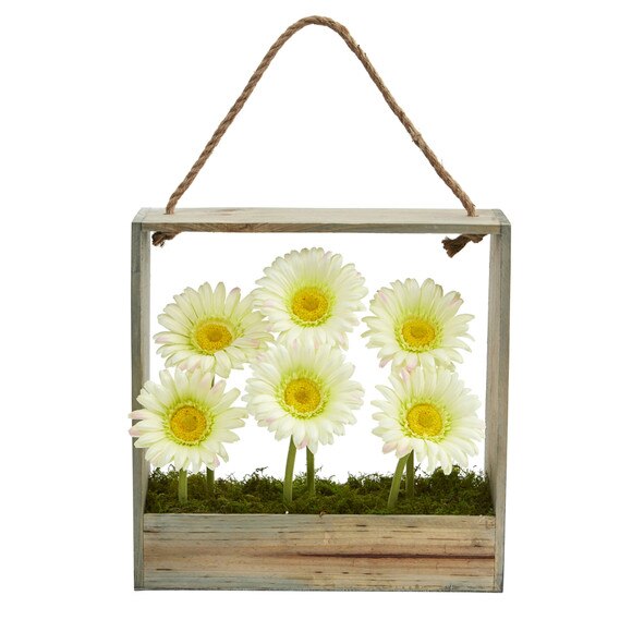 Gerber Daisy Garden in Hanging Frame - SKU #1482 - 8