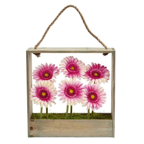 Gerber Daisy Garden in Hanging Frame - SKU #1482 - 6