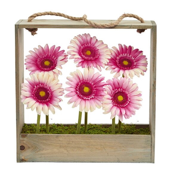 Gerber Daisy Garden in Hanging Frame - SKU #1482 - 7