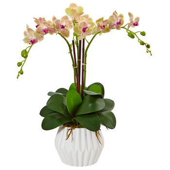 Phalaenopsis Orchid Arrangement in White Vase - SKU #1489