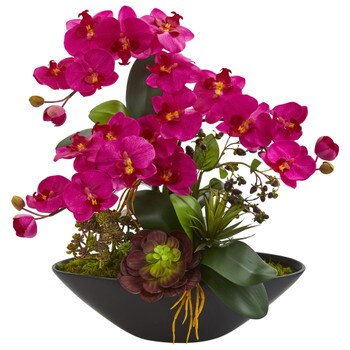 Phalaenopsis Orchid and Mixed Succulent Garden Artificial Arrangement in Black Vase - SKU #1605