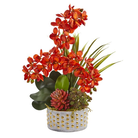 Autumn Phalaenopsis Orchid and Succulent Artificial Arrangement - SKU #1954