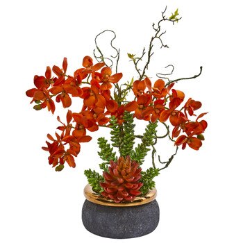 Autumn Phalaenopsis Orchid and Succulent Artificial Arrangement in Vase - SKU #1972