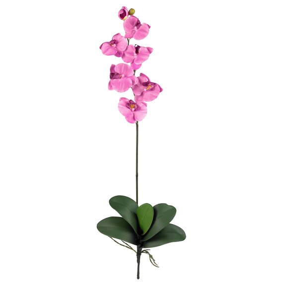 31.5 Phalaenopsis Stem - SKU #2044-MB - 6