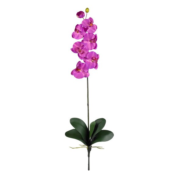 31.5 Phalaenopsis Stem - SKU #2044-MB - 2