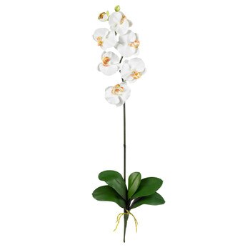 31.5 Phalaenopsis Stem - SKU #2044-MB