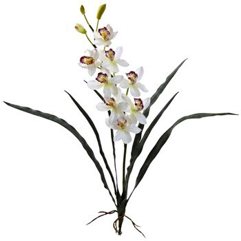31 Cymbidium Stem - SKU #2106