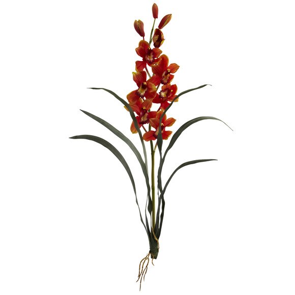 35 Cymbidium Stem - SKU #2107 - 1