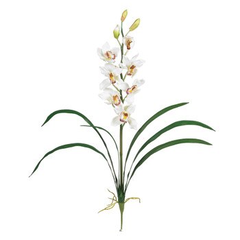 35 Cymbidium Stem - SKU #2107
