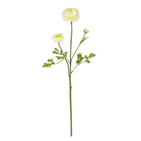 23 Ranunculus Stem - SKU #2108-MB - 3