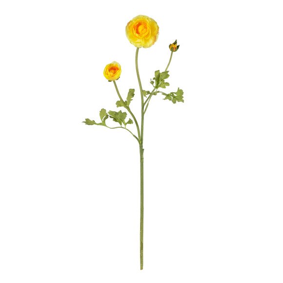 23 Ranunculus Stem - SKU #2108-MB - 2