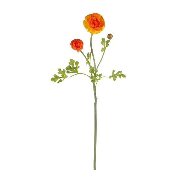 23 Ranunculus Stem - SKU #2108-MB