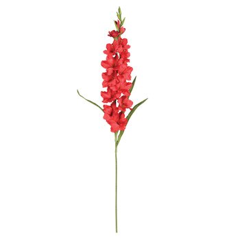 48 Gladiolas Stem - SKU #2123-RD