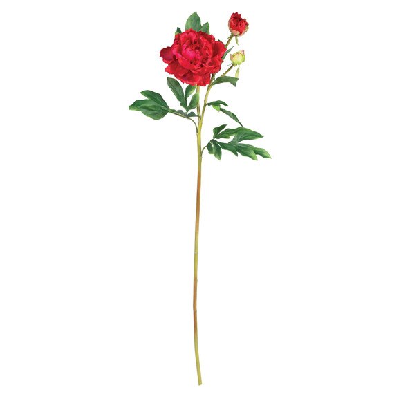 38.5 Peony Stem w/Lvs - SKU #2126-MB