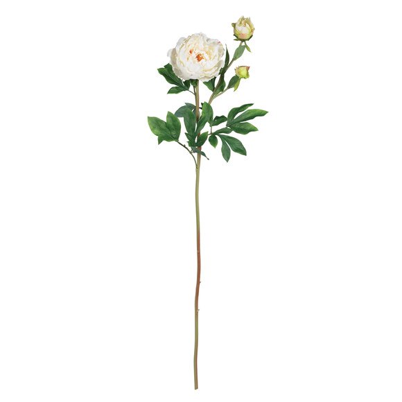 38.5 Peony Stem w/Lvs - SKU #2126-MB - 1