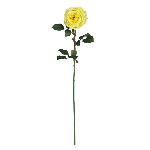 31 Large Rose Stem - SKU #2127-MB - 3