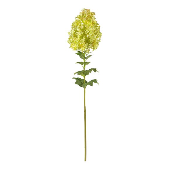40 Peegee Hydrangea Stem - SKU #2141 - 1