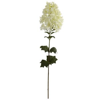 40 Peegee Hydrangea Stem - SKU #2141