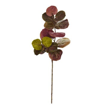 48 Sea Grape Stem x 2 w/14 Lvs - SKU #2160