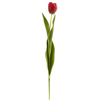 22.5 Tulip Stem - SKU #2193