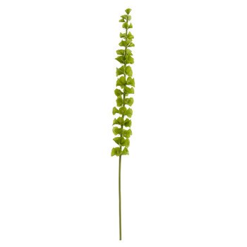 33 Bell of Ireland Stem - SKU #2197-GR