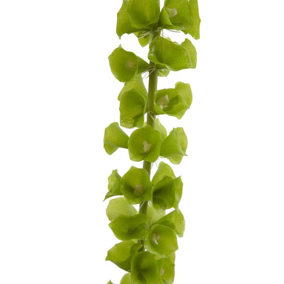 33 Bell of Ireland Stem - SKU #2197-GR - 1