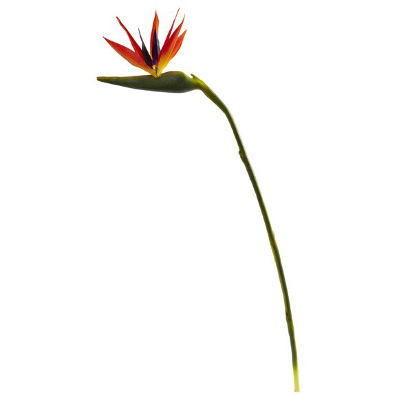 39.5 Bird of Paradise Stem - SKU #2206