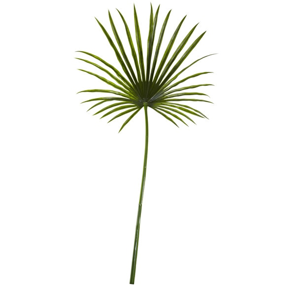 50 Fan Palm Spray - SKU #2213
