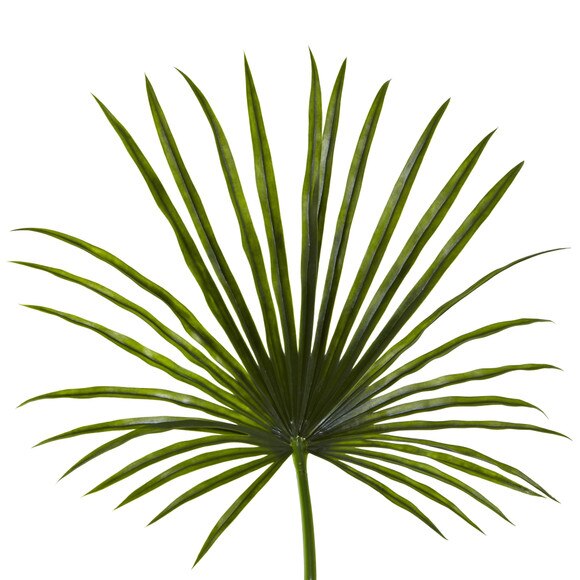 50 Fan Palm Spray - SKU #2213 - 1