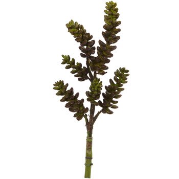 13 Succulent Pick - SKU #2218-GB
