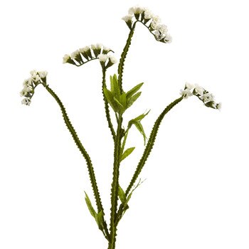 Babys Breath Spray x 3 - SKU #2221