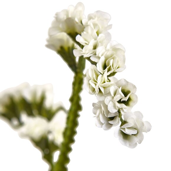 Babys Breath Spray x 3 - SKU #2221 - 1