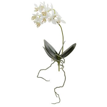 12.5 Mini Phalaenopsis Stem - SKU #2232