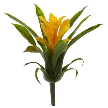 10 Guzmania Bush - SKU #2237