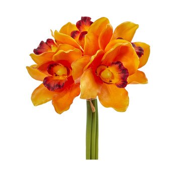 9 Cymbidium Orchid Bundle - SKU #2250