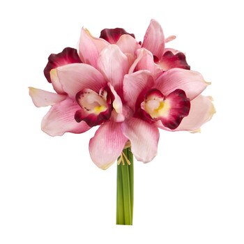 9 Cymbidium Orchid Bundle - SKU #2250