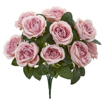 14 Rose Bush - SKU #2257-PK